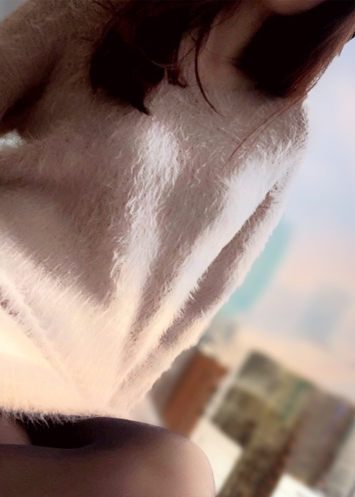 渋谷 高級デリヘル【CLUB麗花】 紫吹 杏珠